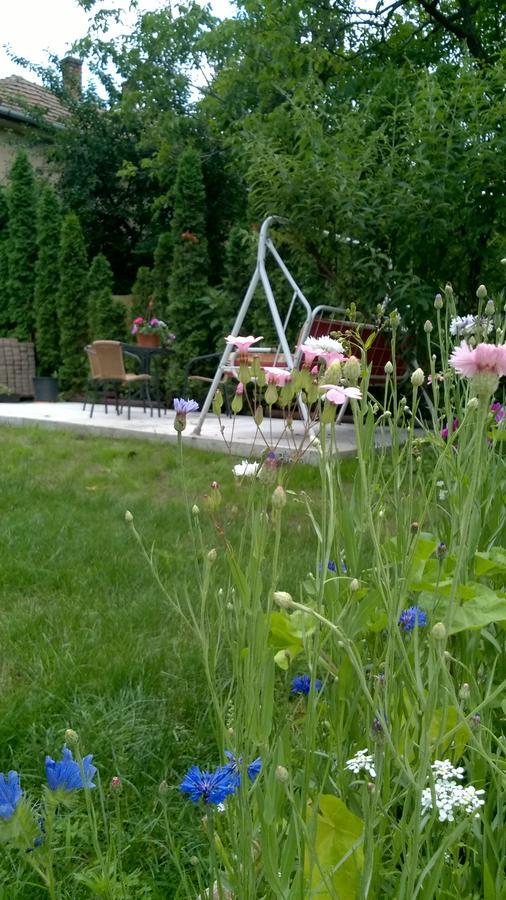 Zoe Apartman * Siofok